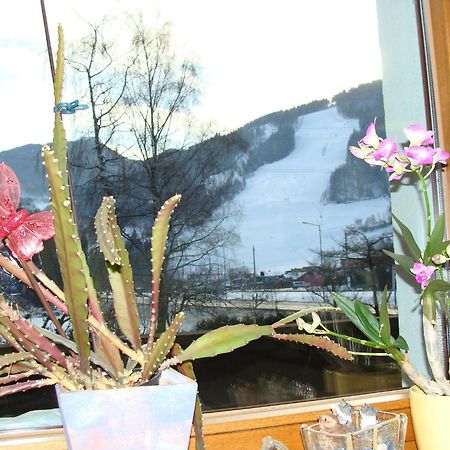 Appartement-Reiteralm ชลัดมิง ภายนอก รูปภาพ