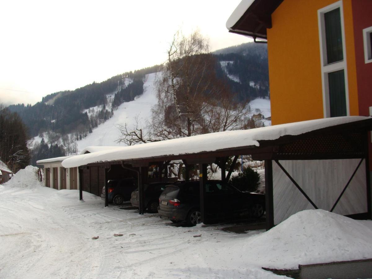 Appartement-Reiteralm ชลัดมิง ภายนอก รูปภาพ