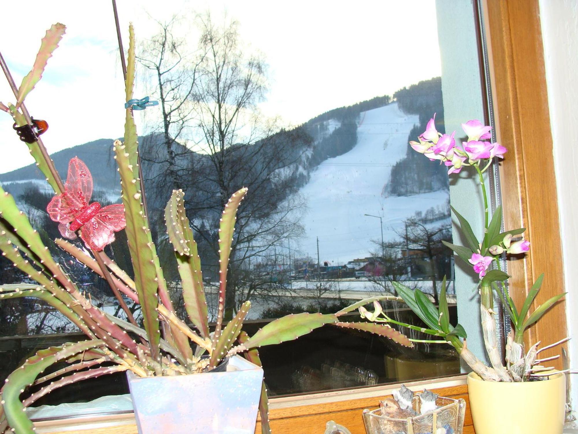 Appartement-Reiteralm ชลัดมิง ภายนอก รูปภาพ