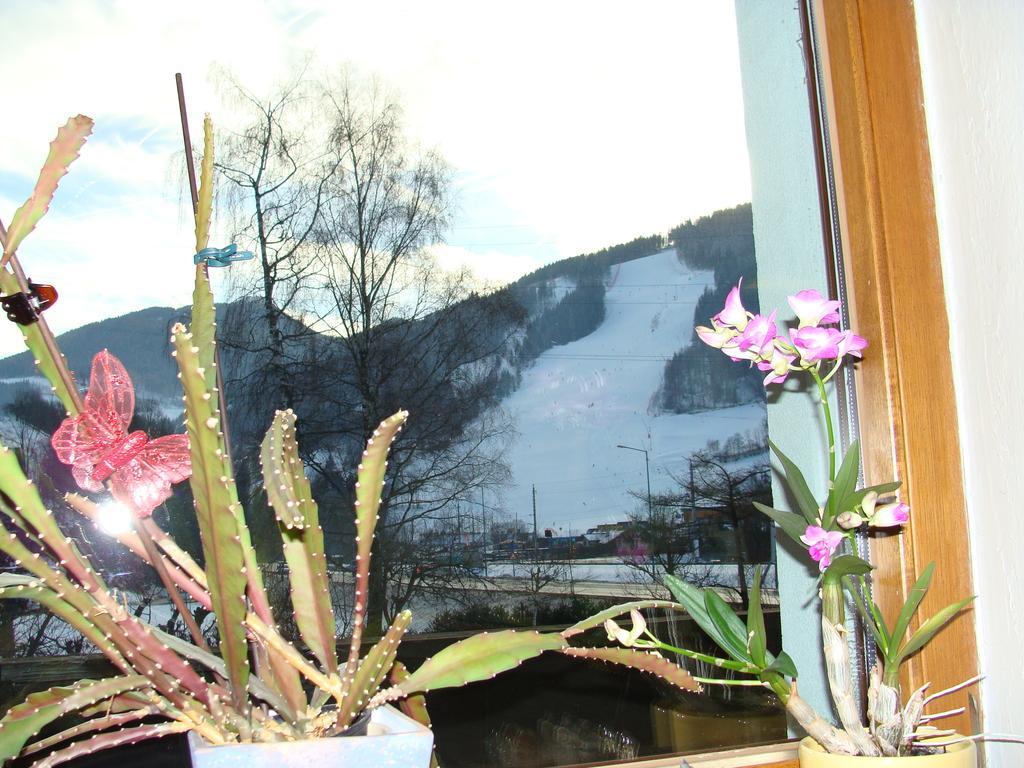 Appartement-Reiteralm ชลัดมิง ภายนอก รูปภาพ